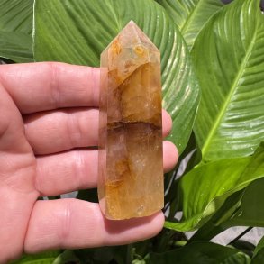 Golden healer t�rn 82 mm