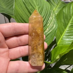 Golden healer t�rn 86 mm