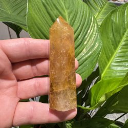 Golden healer t�rn 86 mm