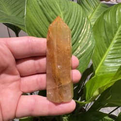 Golden healer t�rn 86 mm