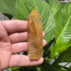 Golden healer t�rn 86 mm
