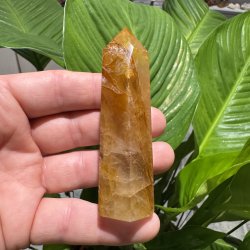 Golden healer t�rn 86 mm