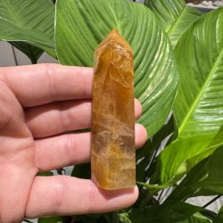 Golden healer t�rn 86 mm