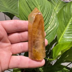 Golden healer t�rn 86 mm