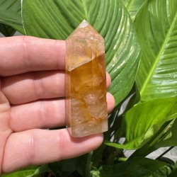 Golden healer t�rn 66 mm