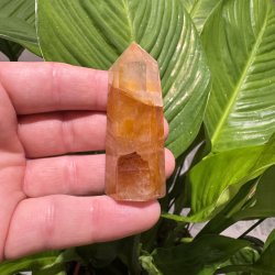 Golden healer t�rn 66 mm
