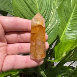Golden healer t�rn 66 mm