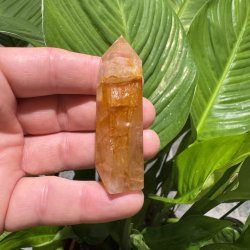 Golden healer t�rn 66 mm