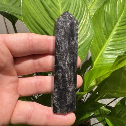 Astrophyllit t�rn 97 mm