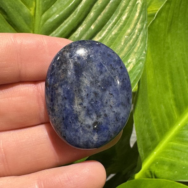 Sodalit flad jumbo