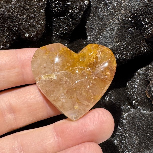 Golden healer hjerte