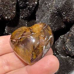 Golden healer hjerte