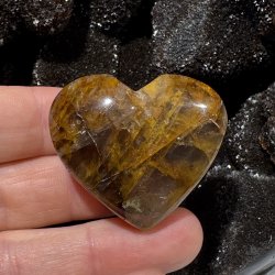 Golden healer hjerte