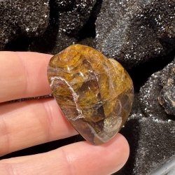 Golden healer hjerte