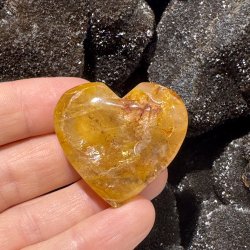 Golden healer hjerte