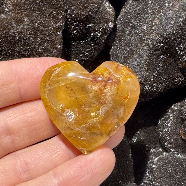 Golden healer hjerte