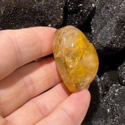 Golden healer hjerte