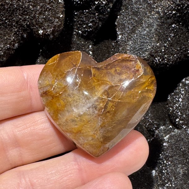 Golden healer hjerte