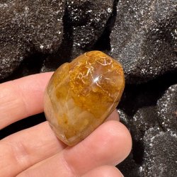 Golden healer hjerte