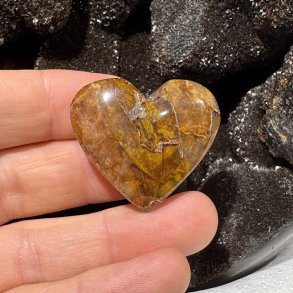 Golden healer hjerte