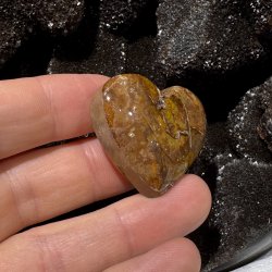 Golden healer hjerte