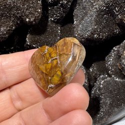 Golden healer hjerte