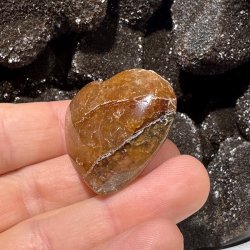 Golden healer hjerte