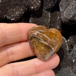 Golden healer hjerte