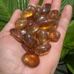 Aura tangerine lommesten