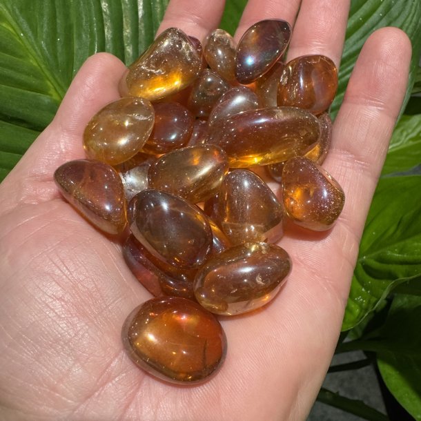 Aura tangerine lommesten
