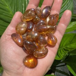 Aura tangerine lommesten