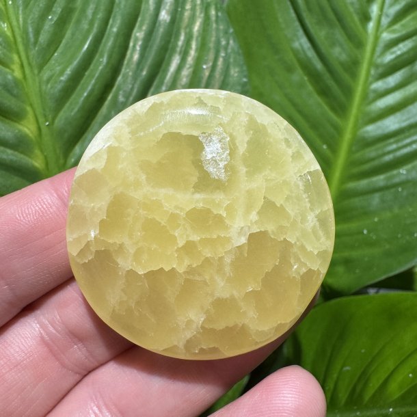 Lemon calcit flad jumbo
