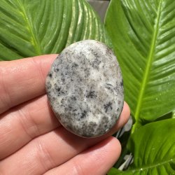 Dendrit agat flad jumbo