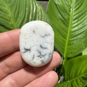 Dendrit agat flad jumbo