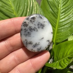 Dendrit agat flad jumbo