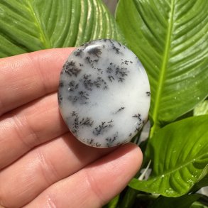Dendrit agat flad jumbo
