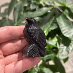 Sort obsidian ravn
