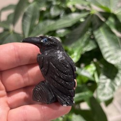 Sort obsidian ravn