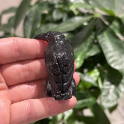 Sort obsidian ravn