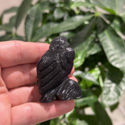 Sort obsidian ravn