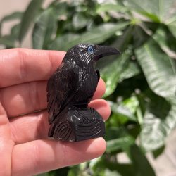 Sort obsidian ravn