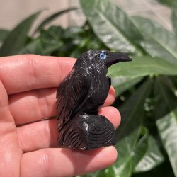 Sort obsidian ravn