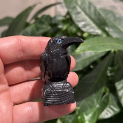 Sort obsidian ravn