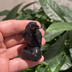 Sort obsidian ravn