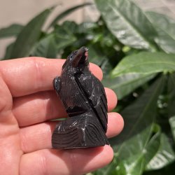 Sort obsidian ravn