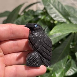 Sort obsidian ravn