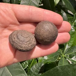 Moqui marbles
