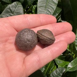 Moqui marbles
