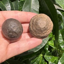 Moqui marbles