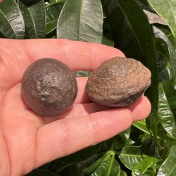 Moqui marbles